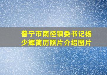 普宁市南径镇委书记杨少辉简历照片介绍图片