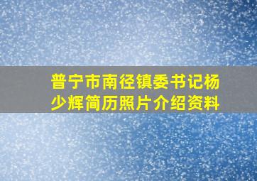 普宁市南径镇委书记杨少辉简历照片介绍资料