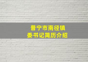 普宁市南径镇委书记简历介绍