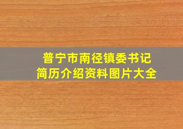 普宁市南径镇委书记简历介绍资料图片大全