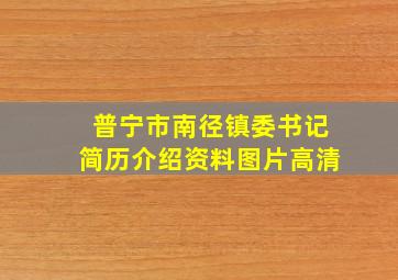 普宁市南径镇委书记简历介绍资料图片高清