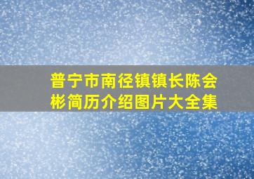 普宁市南径镇镇长陈会彬简历介绍图片大全集