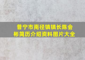 普宁市南径镇镇长陈会彬简历介绍资料图片大全