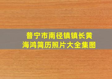 普宁市南径镇镇长黄海鸿简历照片大全集图