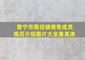 普宁市南径镇领导成员简历介绍图片大全集高清