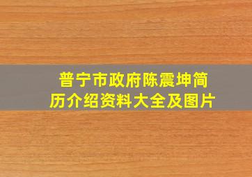 普宁市政府陈震坤简历介绍资料大全及图片