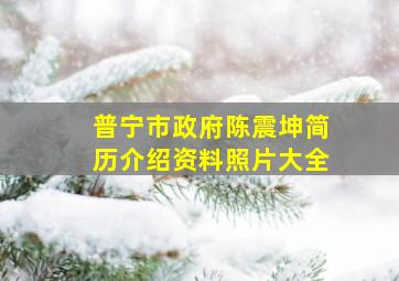 普宁市政府陈震坤简历介绍资料照片大全