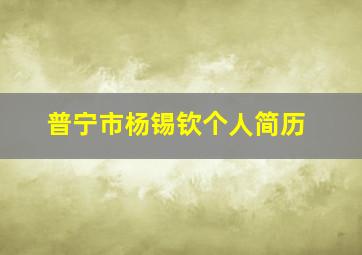 普宁市杨锡钦个人简历