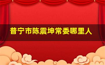 普宁市陈震坤常委哪里人