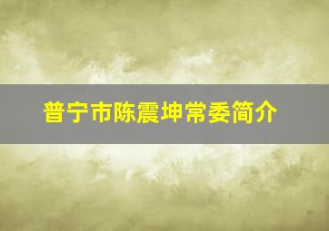 普宁市陈震坤常委简介