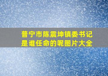 普宁市陈震坤镇委书记是谁任命的呢图片大全