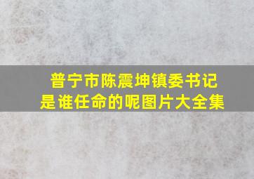 普宁市陈震坤镇委书记是谁任命的呢图片大全集