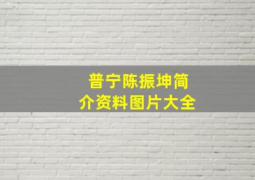 普宁陈振坤简介资料图片大全