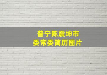 普宁陈震坤市委常委简历图片