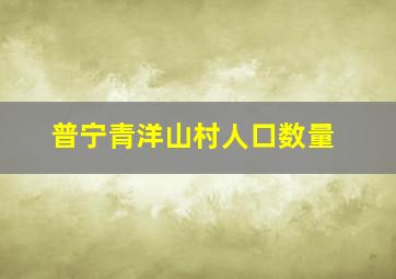 普宁青洋山村人口数量