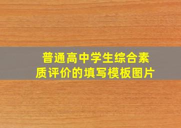 普通高中学生综合素质评价的填写模板图片