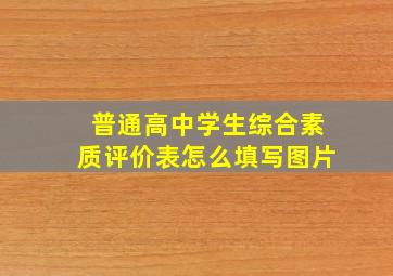 普通高中学生综合素质评价表怎么填写图片