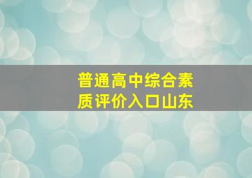 普通高中综合素质评价入口山东