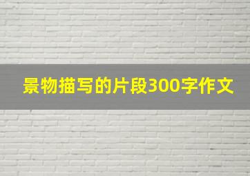 景物描写的片段300字作文