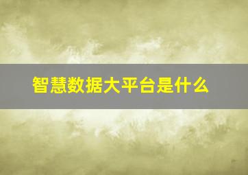 智慧数据大平台是什么