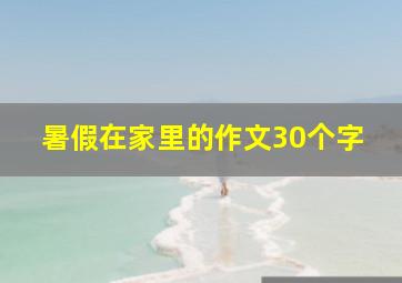 暑假在家里的作文30个字