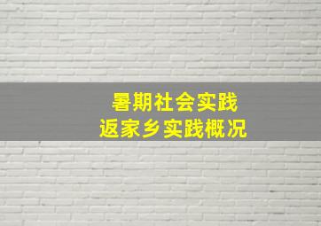 暑期社会实践返家乡实践概况