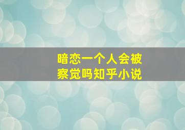 暗恋一个人会被察觉吗知乎小说