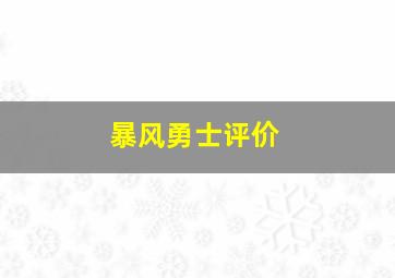 暴风勇士评价