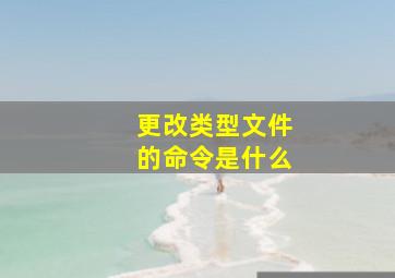 更改类型文件的命令是什么