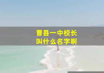 曹县一中校长叫什么名字啊