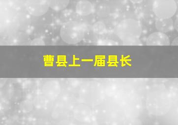 曹县上一届县长