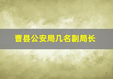 曹县公安局几名副局长