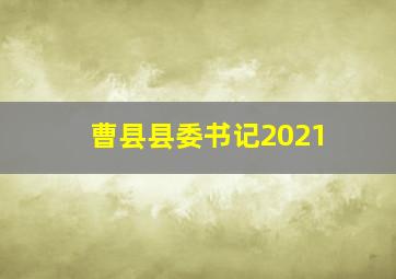 曹县县委书记2021