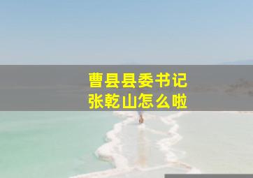 曹县县委书记张乾山怎么啦