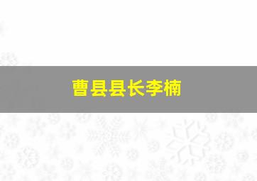 曹县县长李楠