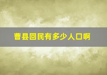 曹县回民有多少人口啊