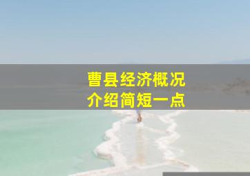 曹县经济概况介绍简短一点