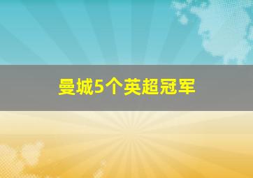 曼城5个英超冠军