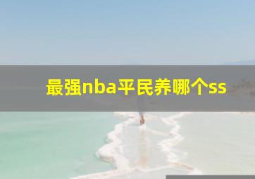 最强nba平民养哪个ss