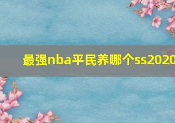 最强nba平民养哪个ss2020