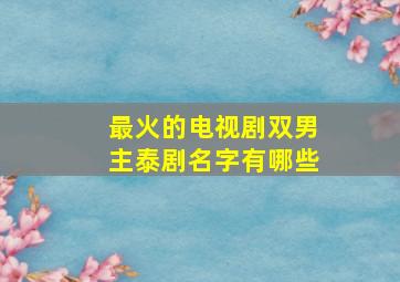 最火的电视剧双男主泰剧名字有哪些