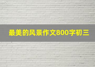 最美的风景作文800字初三