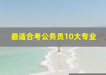 最适合考公务员10大专业