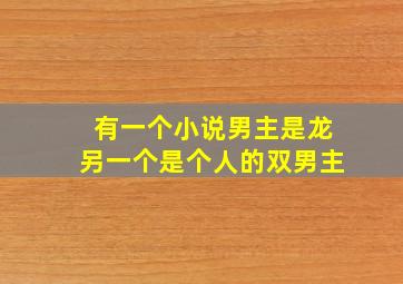 有一个小说男主是龙另一个是个人的双男主