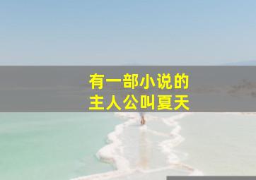 有一部小说的主人公叫夏天