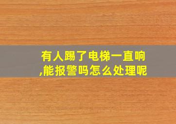 有人踢了电梯一直响,能报警吗怎么处理呢