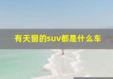 有天窗的suv都是什么车