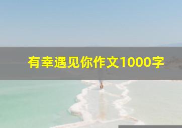 有幸遇见你作文1000字