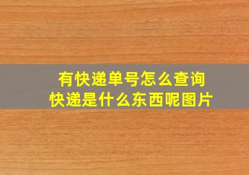 有快递单号怎么查询快递是什么东西呢图片