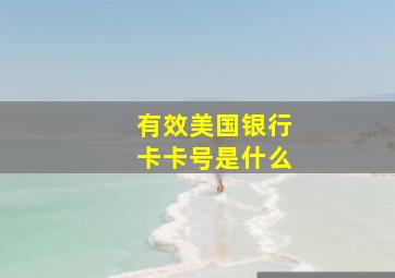 有效美国银行卡卡号是什么